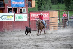 Calf Roping